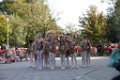 Schoolplein Festival B 156